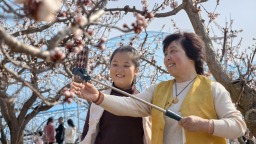 三門峽市澠池縣果園鄉李家村“杏花季”文化活動拉開帷幕