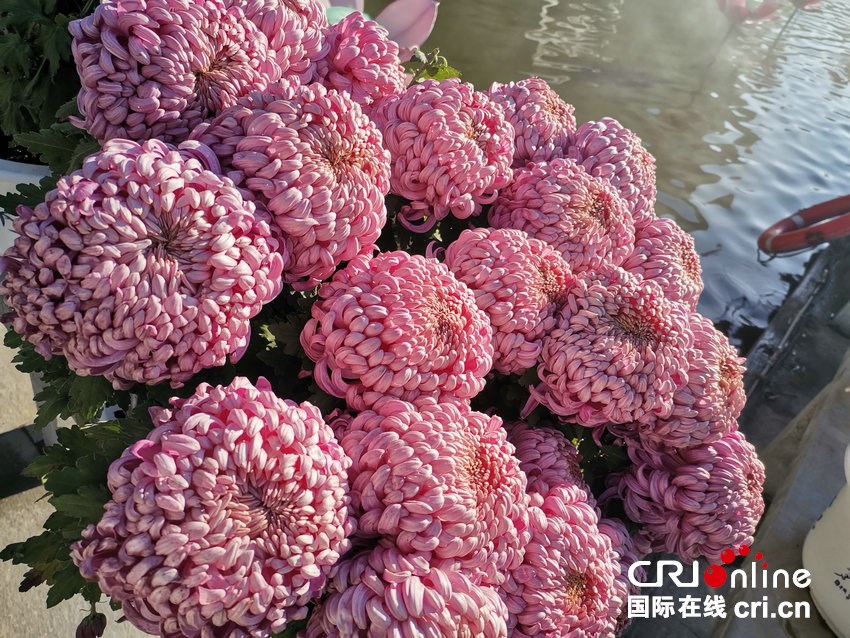 【2025打卡中國】外國網紅“創作魂”燃了!集體“入坑”中國書法拓印