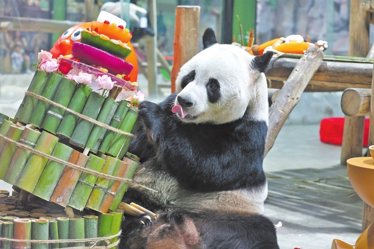 【奮進的河南 決勝“十四五”·洛陽篇】文旅煥彩 新韻流淌