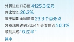 2025年上半年河南外貿規模創歷史同期新高