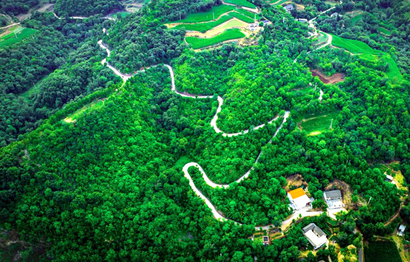 服務鄉村振興和交旅融合 河南新改建農村公路3048公里