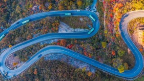 中原初冬蘊詩意