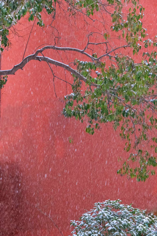 Z視覺 | 落雪覆飛檐 這份中式浪漫藏不住了_fororder_56182bd443ec4f5a9aaec59e30c8ef5a