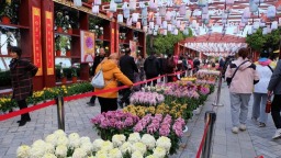 第十五屆中國菊花展覽會在開封開幕 煥活古都文旅新活力