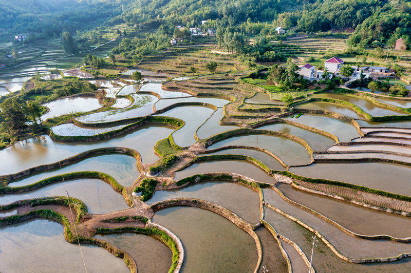 信陽市固始縣：梯田層層 禾秧點點_fororder_DJI_0374