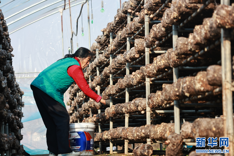 河南全力保障春節市場供應_fororder_20260118b4aa675bd877434f803f3e7f58fb1c8d_20260118ce226cb05acc4b439fa22a22b3405601