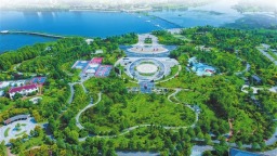 科學綠化 河南何以量質齊升？