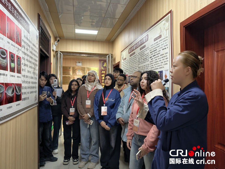 “針”不錯！外國青年、網絡達人揭開中醫針法神秘面紗_fororder_1