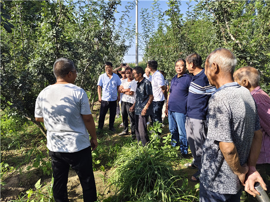 三門峽靈寶市豫靈鎮：“地頭學堂”獲“10分”好評_fororder_田間地頭教學 攝影 許佐平