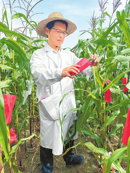 遭受六十四年一遇極端高溫乾旱“烤”驗 抗旱保秋 河南夠拼_fororder_p38_s