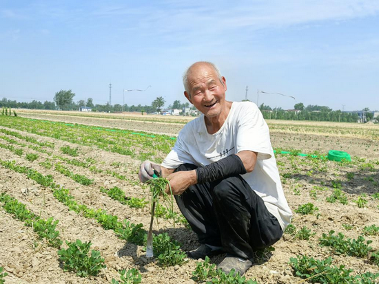 開封市杞縣葛崗鎮：搶農時 促生産 全力推進夏種夏管_fororder_圖片4