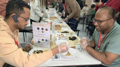 藥香漫南陽 外國青年與網絡達人共探中醫藥文化奧秘