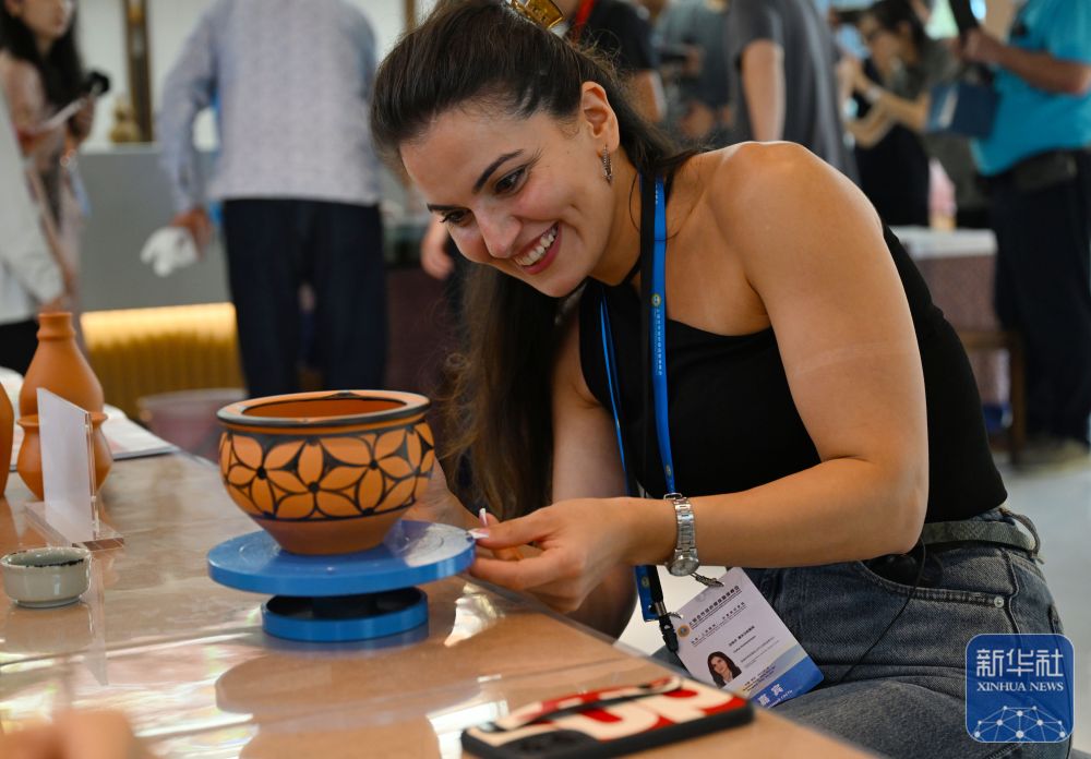 上海合作組織媒體智庫峰會與會代表在河南參訪