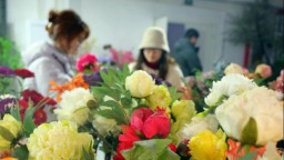 南陽市社旗縣：小縣“花”開世界香