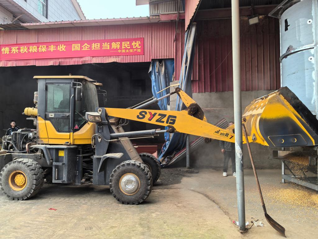 河南多點發力守護秋糧安全