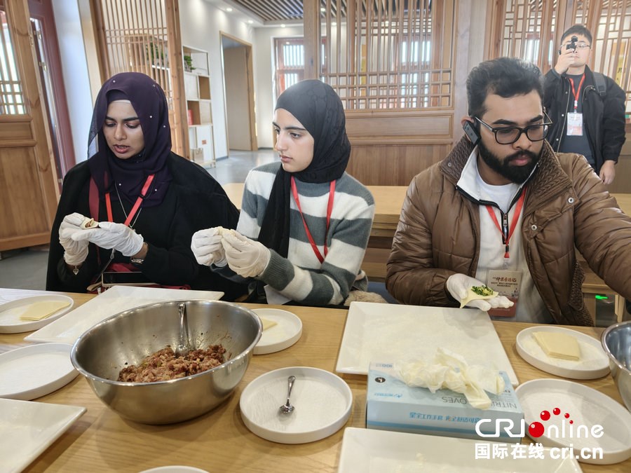 外國青年、網絡達人走進南陽醫聖文化園 對話千年中醫藥文明_fororder_4