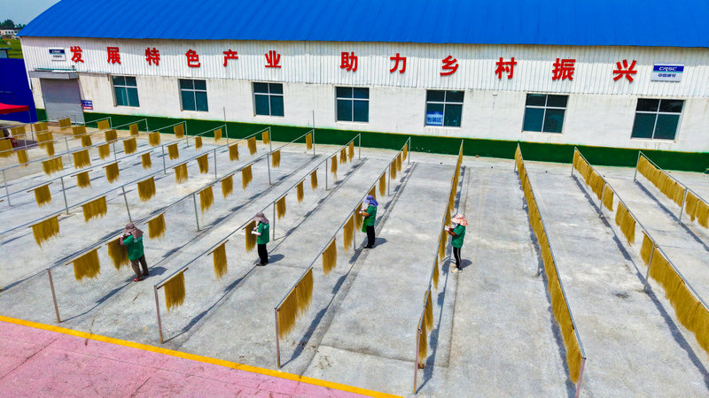 南陽市社旗縣：直播架金橋 特産雲端俏_fororder_社旗縣朱集鎮殷河村村民晾曬粉條 攝影 張峰