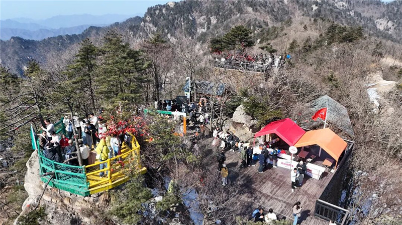 南陽西峽：山間年味醉遊人 老界嶺上過大年_fororder_遊客在山頂遊玩 供圖 老界嶺景區