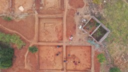 南陽西溝遺址發現東亞已知最早工具裝柄技術