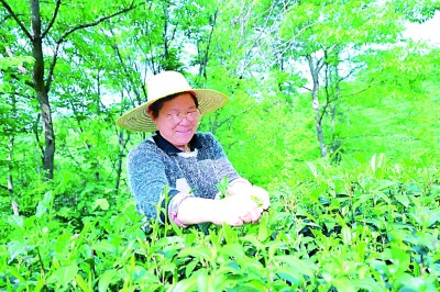 古韻新聲 涌動中原——解碼河南文旅何以“破圈”