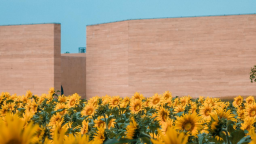 建業兩景區七夕上新 文化體驗邂逅沉浸式浪漫