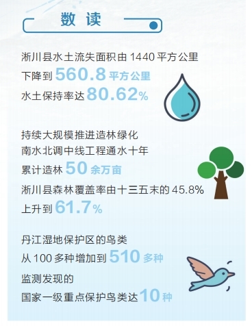 從荒山禿嶺變候鳥天堂 豫鄂陜三省共護丹江水永續北送
