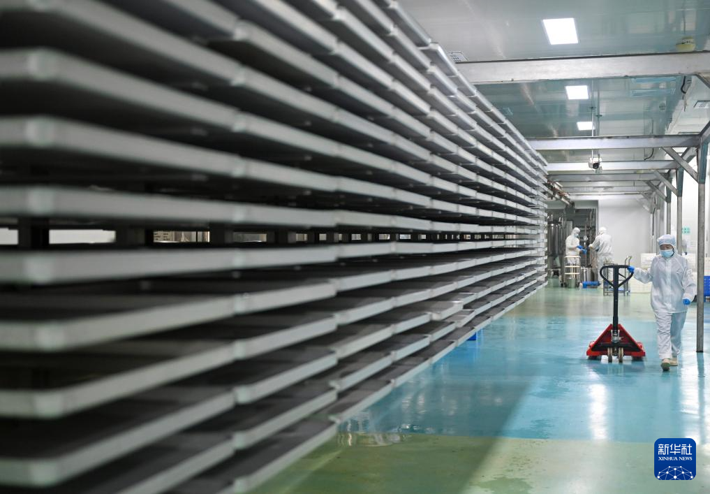 黃河岸邊飄來非洲咖啡香_fororder_20260129262b9e206dcd452292fd2d37317554a0_202601298de7243884cc4a5ab4a2910eb19cb13e