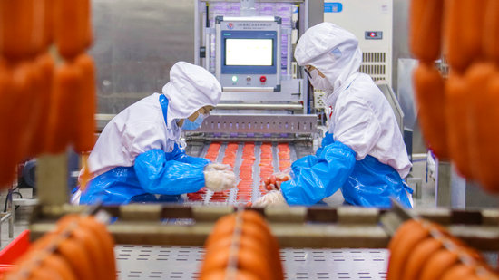 南陽市社旗縣:小烤腸繪就産業惠民新圖景_fororder_工人在生産線上忙碌 攝影 劉靖童.JPG