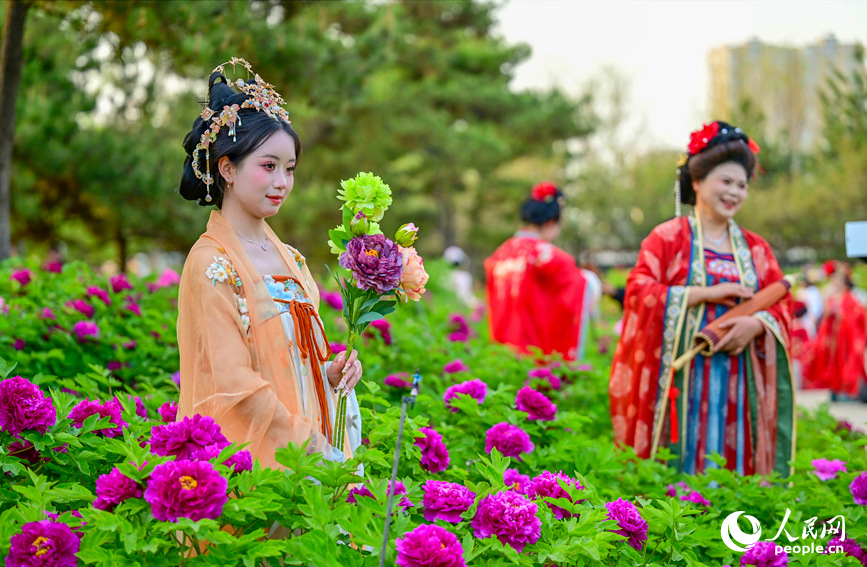 河南洛陽：唯有牡丹真國色 花開時節動京城