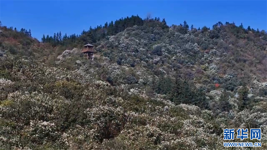 中原初冬蘊詩意