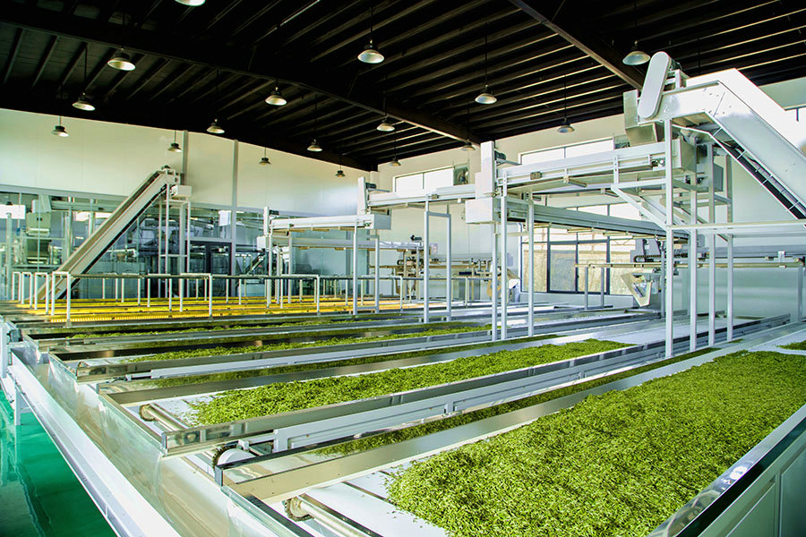 信陽市浉河區：茶鄉“蹚”出幸福路 産業“鏈”起共富經_fororder_茶香再添“科技味”