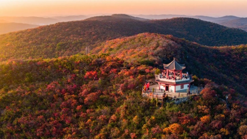 中原初冬蘊詩意