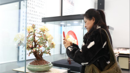 【2025打卡中國】瓷韻綻千年——感受中式美學的不朽力量_fororder_圖片27