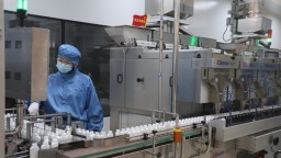 兩岸媒體南陽行：探訪特色産業 共話鄉村振興新篇章