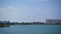 濮陽市臺前縣：繪就生態宜居新畫卷 打造綠色幸福家園