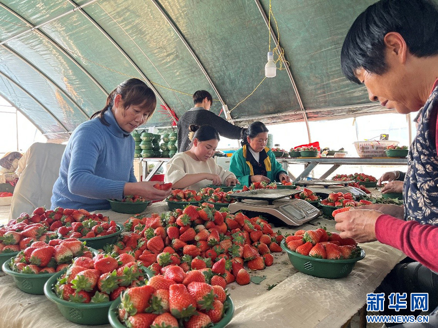 河南全力保障春節市場供應_fororder_20260118b4aa675bd877434f803f3e7f58fb1c8d_20260118e1999294dc224fd9989386a0a0514557