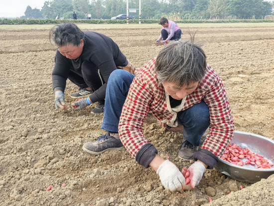 開封市杞縣葛崗鎮：秋種正當時 良機良法助秋播_fororder_圖片1