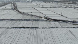 寒潮之下 晚播的冬小麥受影響嗎？專家解答