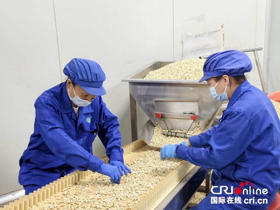 “飲”出健康好生活 外國青年、網絡達人打卡南陽方林_fororder_3