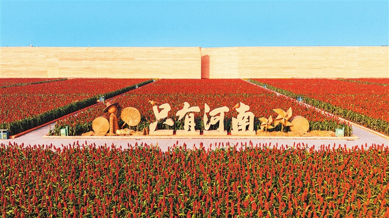 從宋陵到只有河南·戲劇幻城 中原大地上的兩塊高粱田
