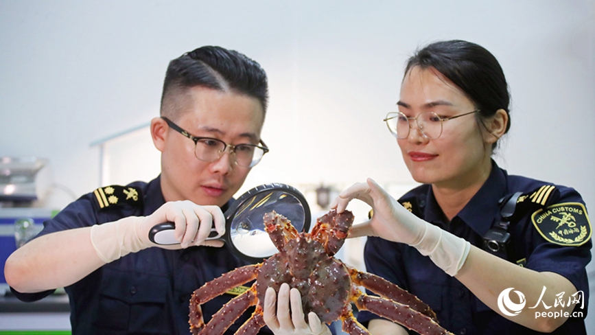 河南鄭州：中原大地的“雙城”故事