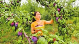 從荒山禿嶺變候鳥天堂 豫鄂陜三省共護丹江水永續北送