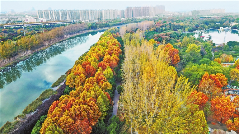 運河秋韻丨鏡頭裏的河南