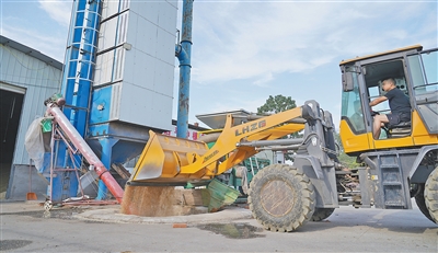 河南省漯河市：裝了智慧烘乾設備 每噸小麥減損60斤
