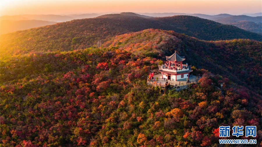 中原初冬蘊詩意