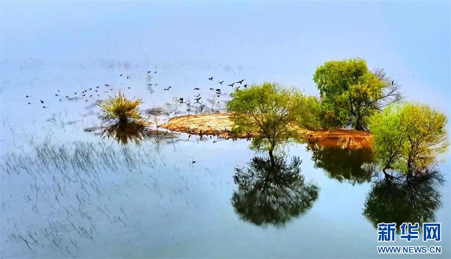 中原初冬蘊詩意