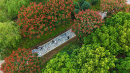 南陽市新野縣白河灘公園獲評國家4A級旅遊景區