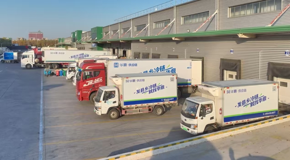 一顆荔枝跑出中原“鮮”速度
