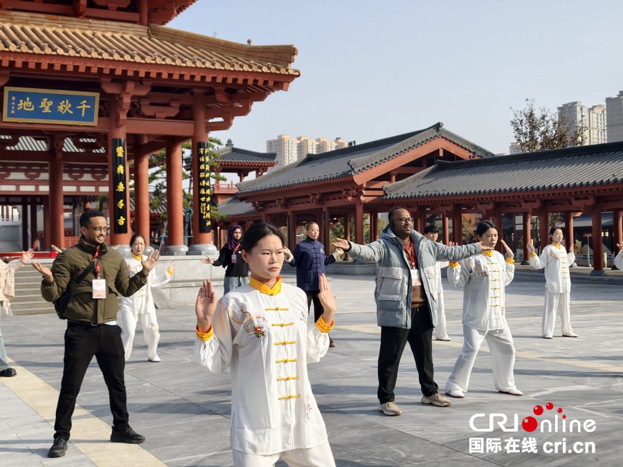 外國青年、網絡達人走進南陽醫聖文化園 對話千年中醫藥文明_fororder_5