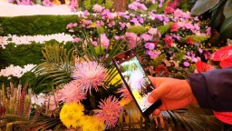 品宋宴、看演藝、賞國際菊 開封滿城菊香宋韻等你來探索